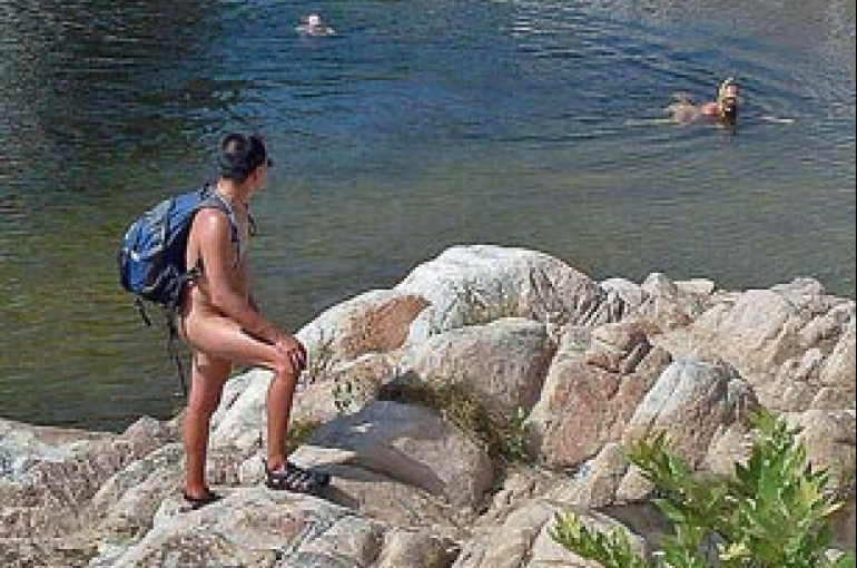 В Швеции коровам разрешили купаться на нудистском пляже